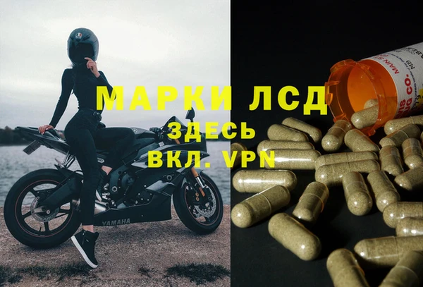 спайс Алзамай