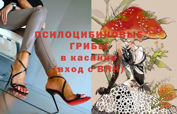 спайс Алзамай