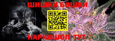 индика Мариинск