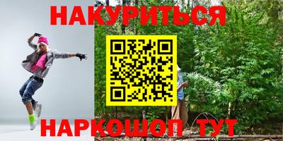 индика Мариинск