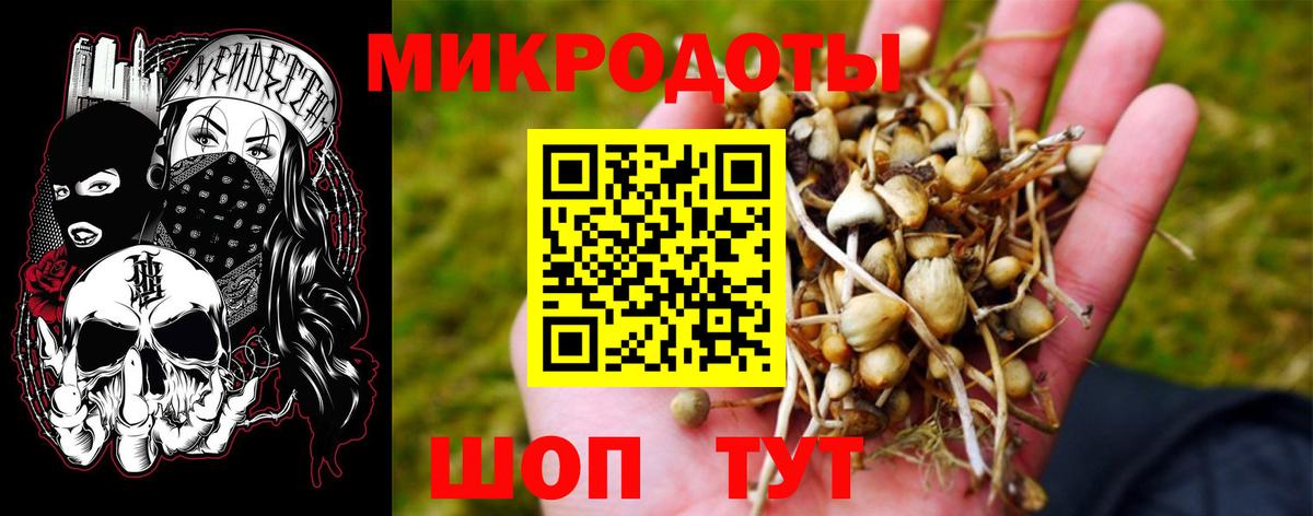 Псилоцибиновые грибы Magic Shrooms  Вход с VPN  закладки  Киржач 